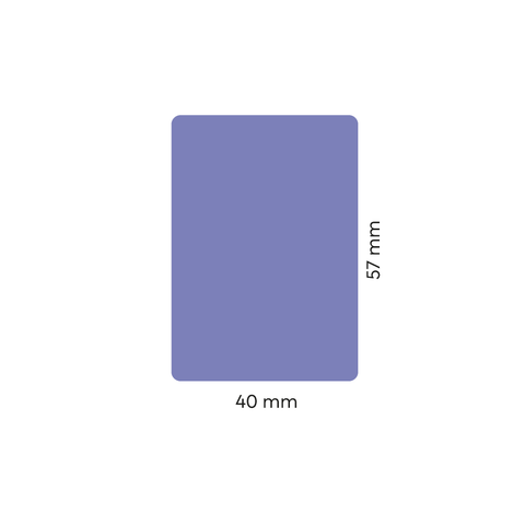 Leere Lola – Rechteckiges Etikett 40x57mm für Lippenpflegestift